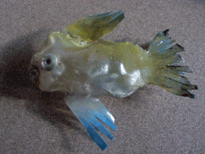 poissons-plstq